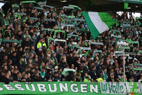 VfL Wolfsburg vs SV Darmstadt 98 (1-0) (6)