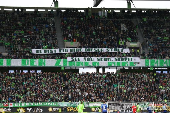 VfL Wolfsburg vs SV Darmstadt 98 (1-0) (8)