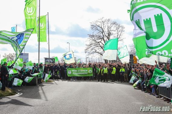 VfL Wolfsburg vs SV Darmstadt 98 (1-0) (11)
