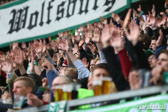 VfL Wolfsburg vs FC Ingolstadt 04 (3-0) (2)