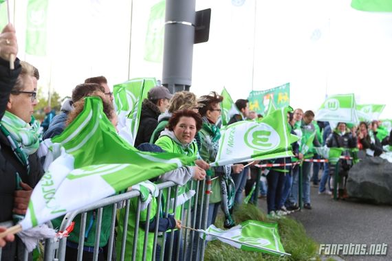 VfL Wolfsburg vs FC Ingolstadt 04 (3-0) (5)