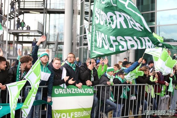 VfL Wolfsburg vs FC Ingolstadt 04 (3-0) (7)
