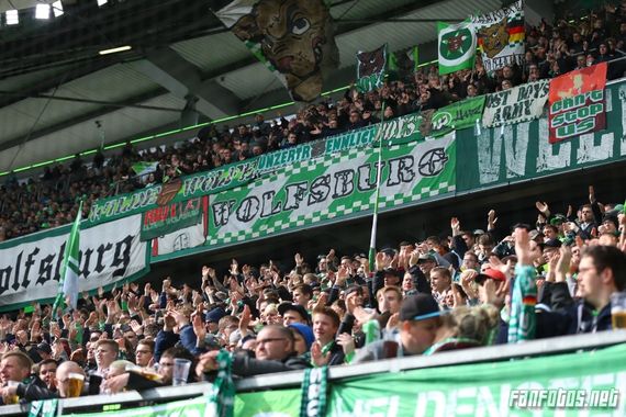 VfL Wolfsburg vs FC Ingolstadt 04 (3-0) (12)