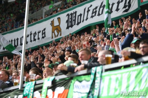VfL Wolfsburg vs FC Ingolstadt 04 (3-0) (13)