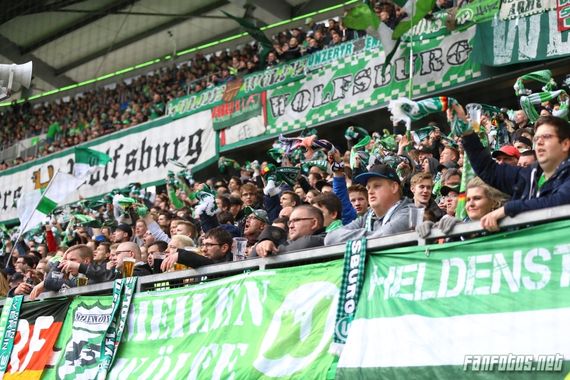 VfL Wolfsburg vs FC Ingolstadt 04 (3-0) (15)
