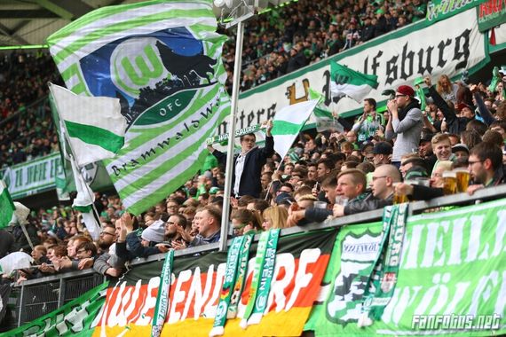 VfL Wolfsburg vs FC Ingolstadt 04 (3-0) (16)