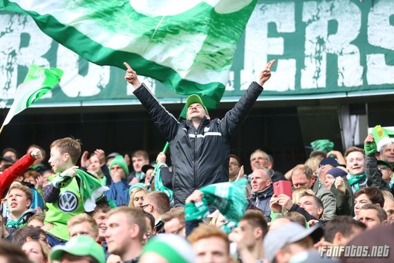 VfL Wolfsburg vs FC Ingolstadt 04 (3-0) (17)
