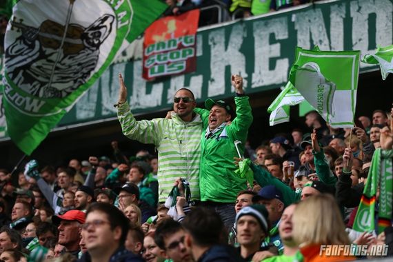 VfL Wolfsburg vs FC Ingolstadt 04 (3-0) (18)