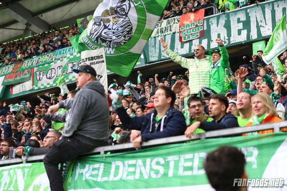 VfL Wolfsburg vs FC Ingolstadt 04 (3-0) (19)