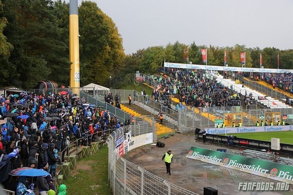 SV Darmstadt 98 vs VfL Wolfsburg (3-1) (1)