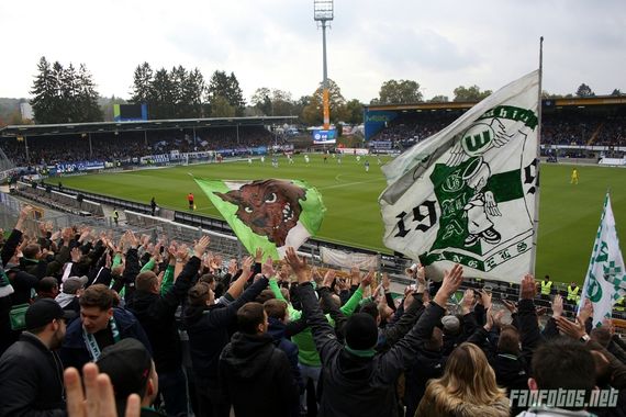 SV Darmstadt 98 vs VfL Wolfsburg (3-1) (3)