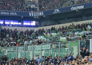 FC Schalke 04 vs VfL Wolfsburg (1-1)