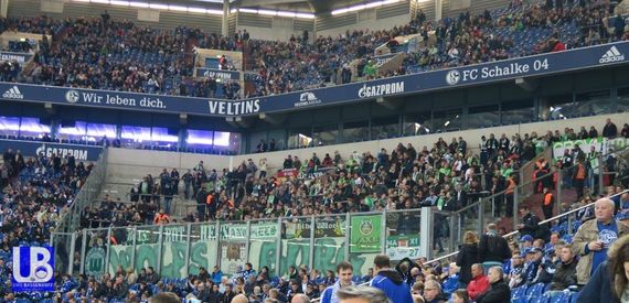 FC Schalke 04 vs VfL Wolfsburg (1-1) (2)