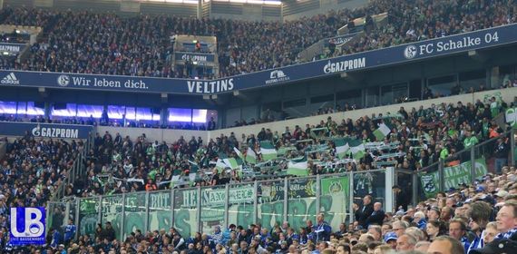 FC Schalke 04 vs VfL Wolfsburg (1-1) (3)