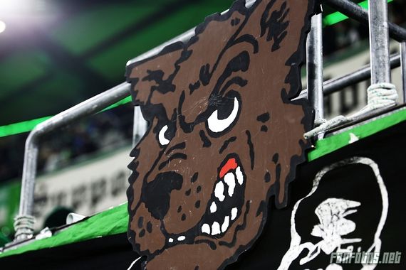 VfL Wolfsburg vs FC Schalke 04 (0-1) (4)