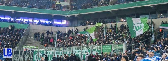 FC Schalke 04 vs VfL Wolfsburg (1-0) (2)