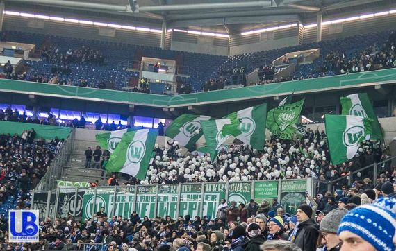 FC Schalke 04 vs VfL Wolfsburg (1-0) (4)