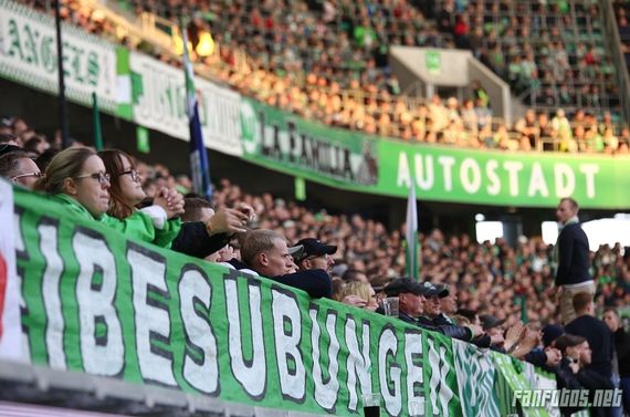 VfL Wolfsburg vs Borussia Dortmund (0-1 ) (5)