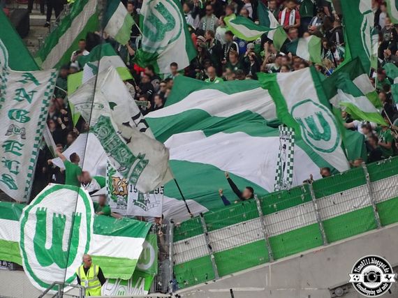 VfB Stuttgart vs VfL Wolfsburg (3-0) (3)