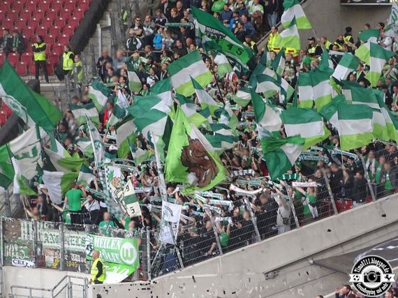 VfB Stuttgart vs VfL Wolfsburg (3-0) (14)