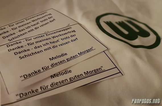 Hannover 96 vs VfL Wolfsburg (0-3) (10)