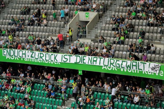 VfL Wolfsburg vs 1. FC Köln (2-1) (1)