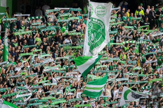 VfL Wolfsburg vs 1. FC Köln (2-1) (4)