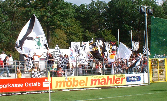 VfR Aalen vs 1. FSV Mainz 05 (1-3) (4)