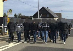 SV Elversberg vs VfR Aalen (1-0)
