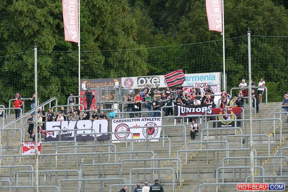Wuppertaler SV vs Viktoria Köln (3-3) (1)