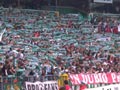 Werder Bremen vs DSC Arminia Bielefeld (3-0)