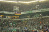 FC Schalke 04 vs Werder Bremen (2-1)