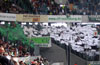 VfL Wolfsburg vs Werder Bremen (1-1)