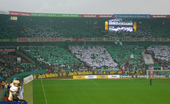 Werder Bremen vs VfL Bochum (3-0) (16)