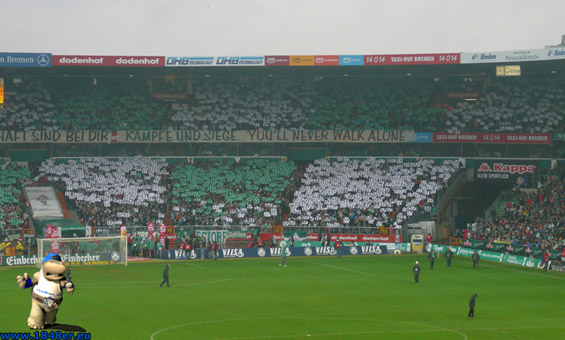 Werder Bremen vs VfL Bochum (3-0) (17)
