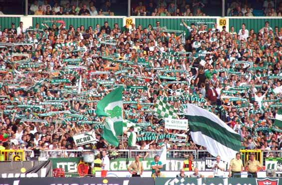 Werder Bremen vs VfB Stuttgart (2-3) (6)