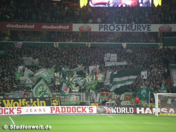 Werder Bremen vs 1. FC Köln (3-1) (7)