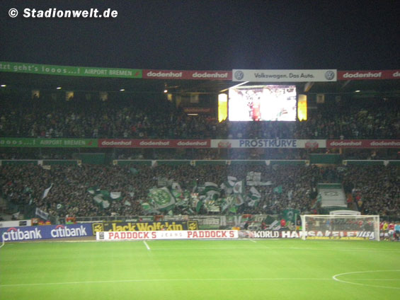 Werder Bremen vs 1. FC Köln (3-1) (8)