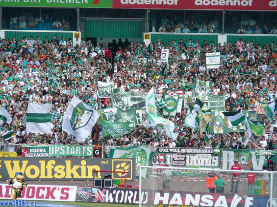 Werder Bremen vs VfL Bochum (3-2) (6)