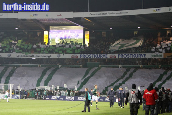 Werder Bremen vs Hertha BSC (2-1) (7)