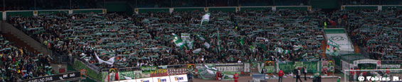 Werder Bremen vs 1. FC Nürnberg (4-2) (21)