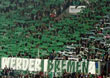 FC Schalke 04 vs Werder Bremen (2-1)