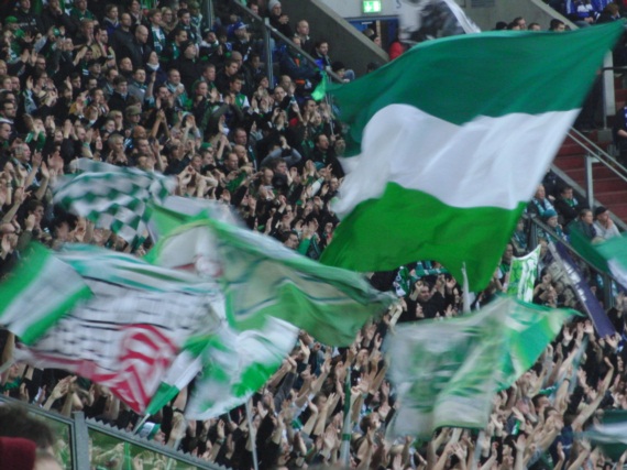 FC Schalke 04 vs Werder Bremen (2-1) (6)