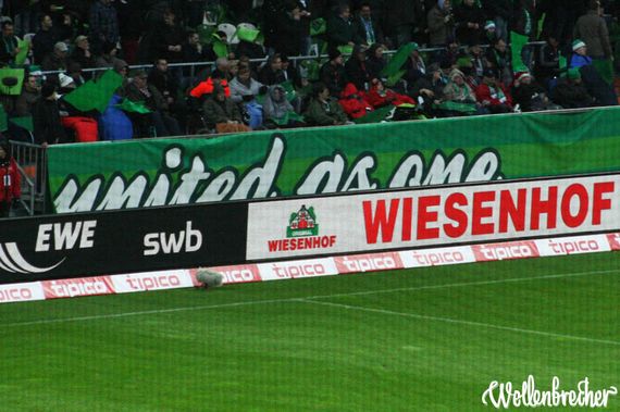 Werder Bremen vs Bayer 04 Leverkusen (3-2) (17)