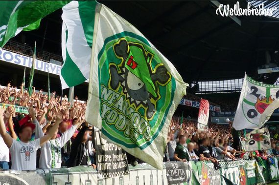 Werder Bremen vs TSG Hoffenheim (1-1) (1)