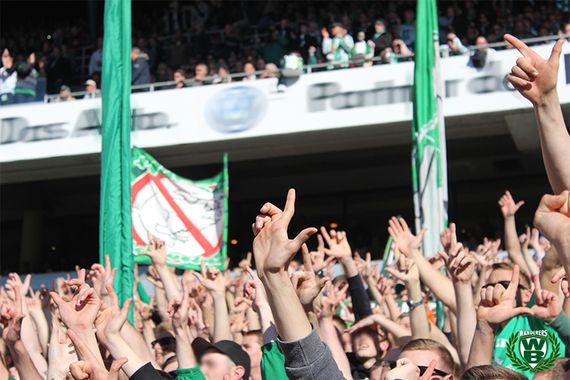 Werder Bremen vs Hamburger SV (1-0) (28)