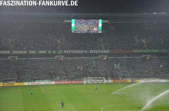 Werder Bremen vs 1. FC Köln (1-0) (4)