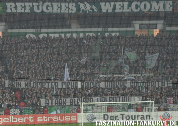 Werder Bremen vs 1. FC Köln (1-0) (9)