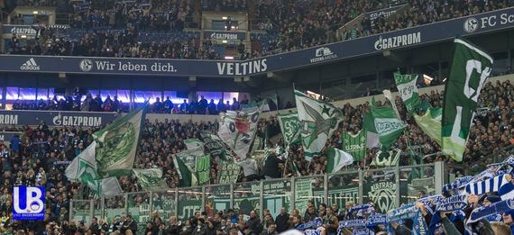 FC Schalke 04 vs Werder Bremen (3-1) (7)
