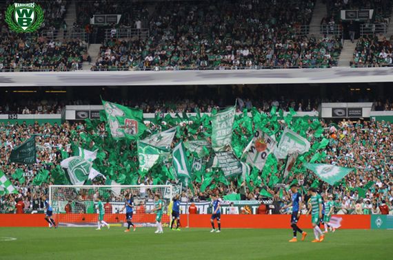 Werder Bremen vs TSG Hoffenheim (3-5) (17)